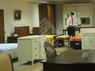 Домашняя выставка мебели