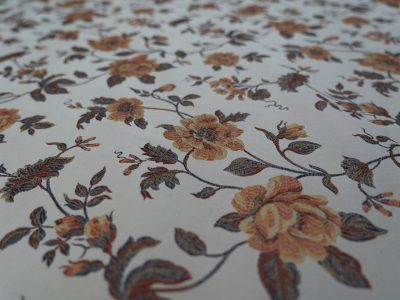 Эмили гр. Т6