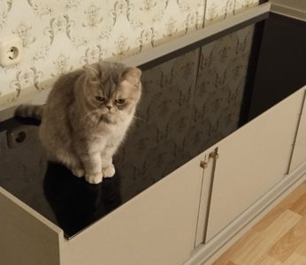 Гостиная "Брюгге" в отделке Капучино