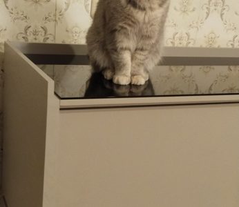 Гостиная "Брюгге" в отделке Капучино